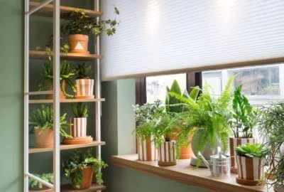 Cozinha Alecrim -   Bernardo Gaudie-Ley e Tânia Braida (BETA Arquitetura) - CASACOR Rio de Janeiro 2018